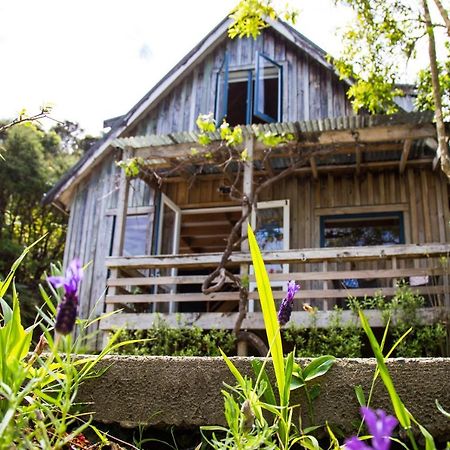 Fern Lodge Coromandel Dış mekan fotoğraf
