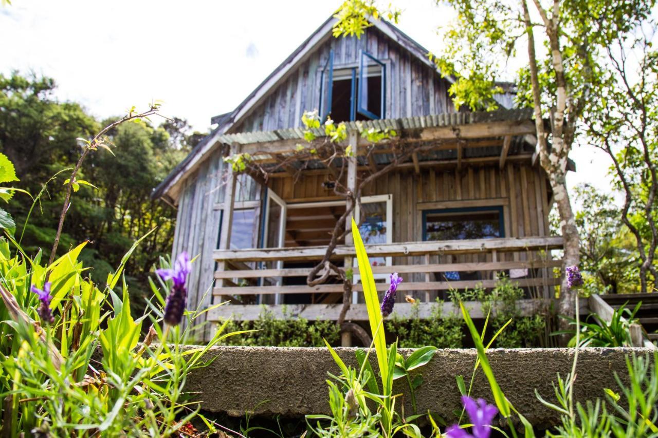 Fern Lodge Coromandel Dış mekan fotoğraf